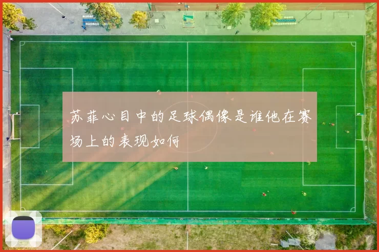 苏菲心目中的足球偶像是谁他在赛场上的表现如何