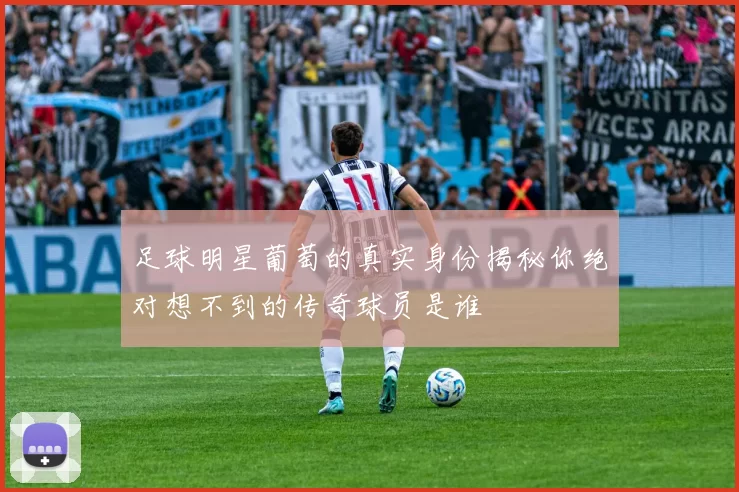 足球明星葡萄的真实身份揭秘你绝对想不到的传奇球员是谁