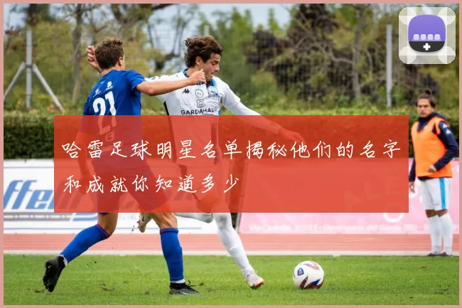 哈雷足球明星名单揭秘他们的名字和成就你知道多少